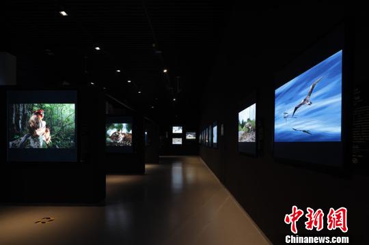 图为展厅现场。　钟欣 摄