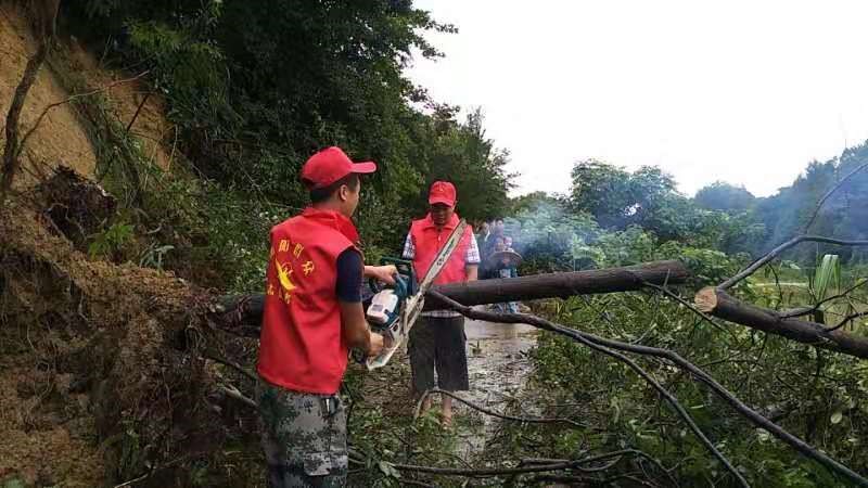 风雨之中党员在洪水浪头党旗红